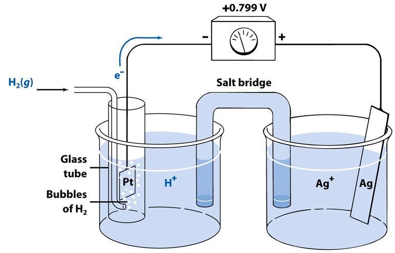 POTENZIALI STANDARD Il potenziale di riduzione standard (E ) di una semicella è la differenza di potenziale della cella galvanica formata da quella