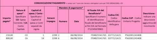 IDENTIFICATIVI FATTURA :