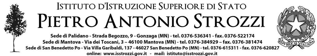 Prot. 367/2018 Palidano di Gonzaga (MN), 1 gennaio 2018 A tutti i docenti, a tutte le classi e ai genitori della sede di Palidano.