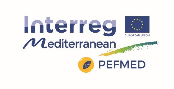 PEFMED Introduzione della PEF nei sistemi produttivi regionali dell area MED per aumentare l innovazione ed il valore dei prodotti Testare l applicabilità del metodo per l impronta ambientale di