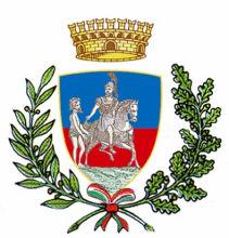 COMUNE DI SINALUNGA Provincia di Siena