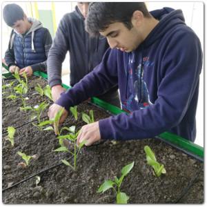 L Istituto professionale agrario è il percorso di studi indicato per chi ama le