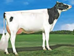 76% NM$ 1014 - CM$ 1058 CDCB 12/18 0 Dtrs 0 Herds Rel. 77% Milk 904 Lbs. GTPI 2843 Protein 53 Lbs. 0,09 % NM$ 1014 Fat 122 Lbs.