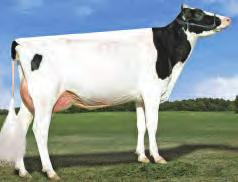 76% Milk 2211 Lbs. GTPI 2835 Protein 66 Lbs. 0,00 % NM$ 932 Fat 80 Lbs.