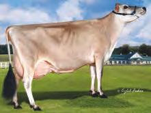 Daughter Pregnancy Rate -0,2 67% 0 Heifer Conception Rate 4,3 58% 35 Cow Conception Rate 1,6 67% 0 Somatic Cell Count 2,87 74% 0 Productive Life 4,0 69% 0 TIPO 1,00 MAMMELLA 3,00 STATURA 0,50