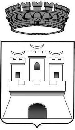 COMUNE di CASTIGLIONE DELLA PESCAIA REGOLAMENTO