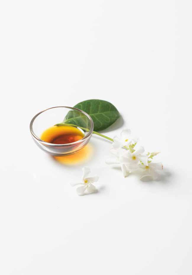 - Floreali - GELSOMINO Jasminum officinale Si usa per: favorire la concentrazione, esaltare la sensazione di benessere, alleviare la sindrome premestruale, migliorare la salute della pelle.