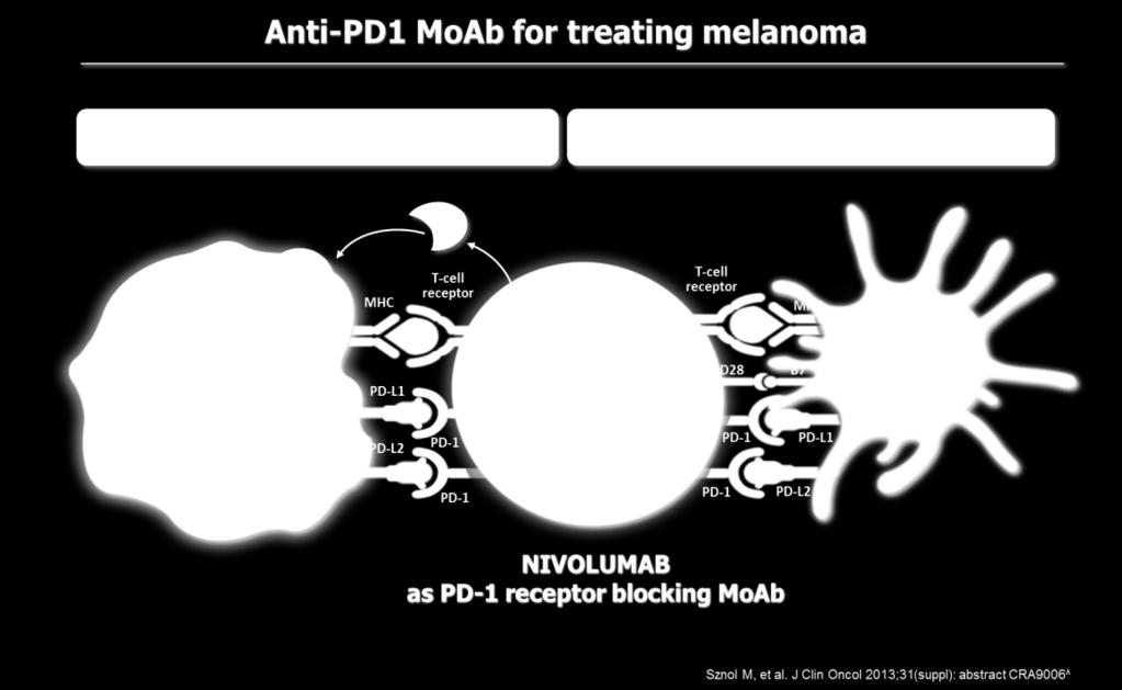 IMMUNOTERAPIA L'immunoterapia determina una attivazione della risposta immune anti-melanoma.