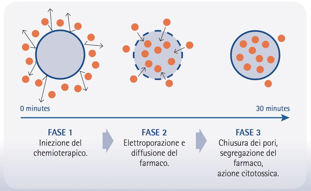 Fonte: Registro Tumori Puglia 2015 Studi sono stati condotti per valutare il beneficio del trattamento adiuvante con interferone (IFN) nel melanoma ad alto rischio.