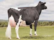 Beechwood Farm, Lisburn, UK M. Lissue Jeeves Rae UK904136840586 VG-85 N.