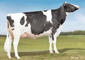 Whittier-Farms Christina US130197465 VG-87 GMD DOM 2-03 365 gg 38810 lbs 4.70% Gr 3.30% Pr Rel. Obs.
