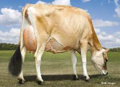% arti e piedi 0,00 Milk 905 statura -0,60 Protein 37 0,02% forza-vigore 0,00 ANGOLOSITÀ 0,70 Fat 56 0,06% groppa angolo 0,10 groppa largh. -0,40 arti di lato -0,10 Prod.