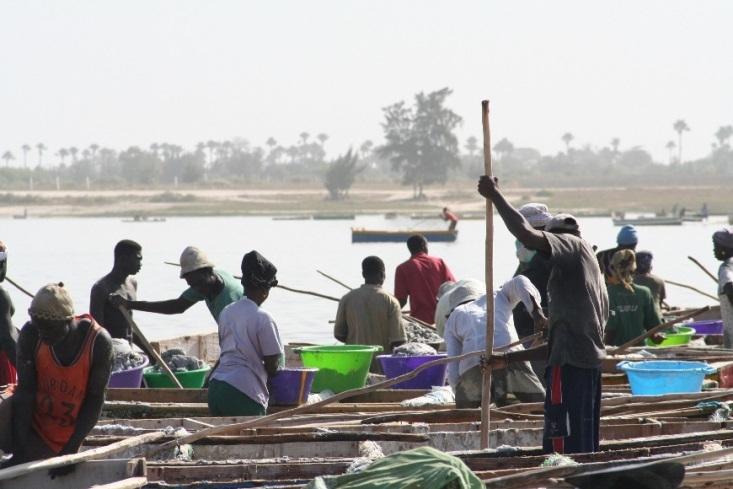 Alberghi previsti LOCALITÀ Dakar Lago Rosa Saint Louis Saly HOTEL (O DI PARI CATEGORIA) Novotel 4* Campement du Lac Rose 3* Hotel Residence 4* Le Royam Hotel 4* Voli previsti: ROMA 14 MAR ROMA FCO