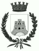 Città di Tarcento Provincia di Udine Medaglia d oro al merito civile Eventi sismici 1976 Area Tecnica - U.O.