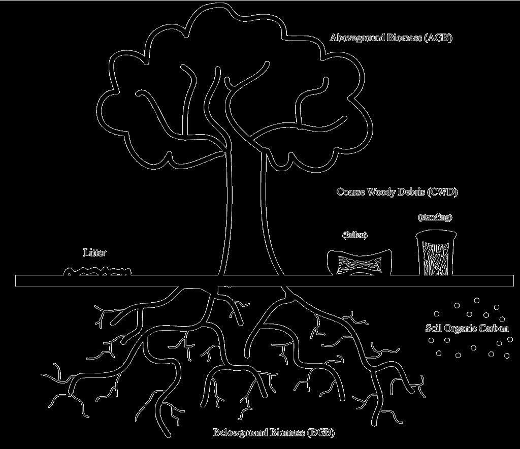 Biomassa EPIGEA 45%