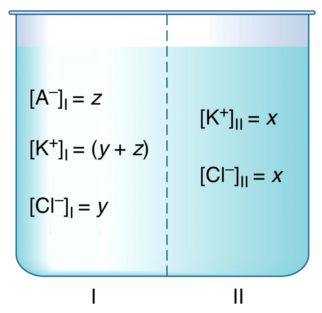 All equilibrio ci sarà una distribuzione reciproca di anioni e cationi tale che: y (y+z) = x 2 oppure: (y+z)/x =