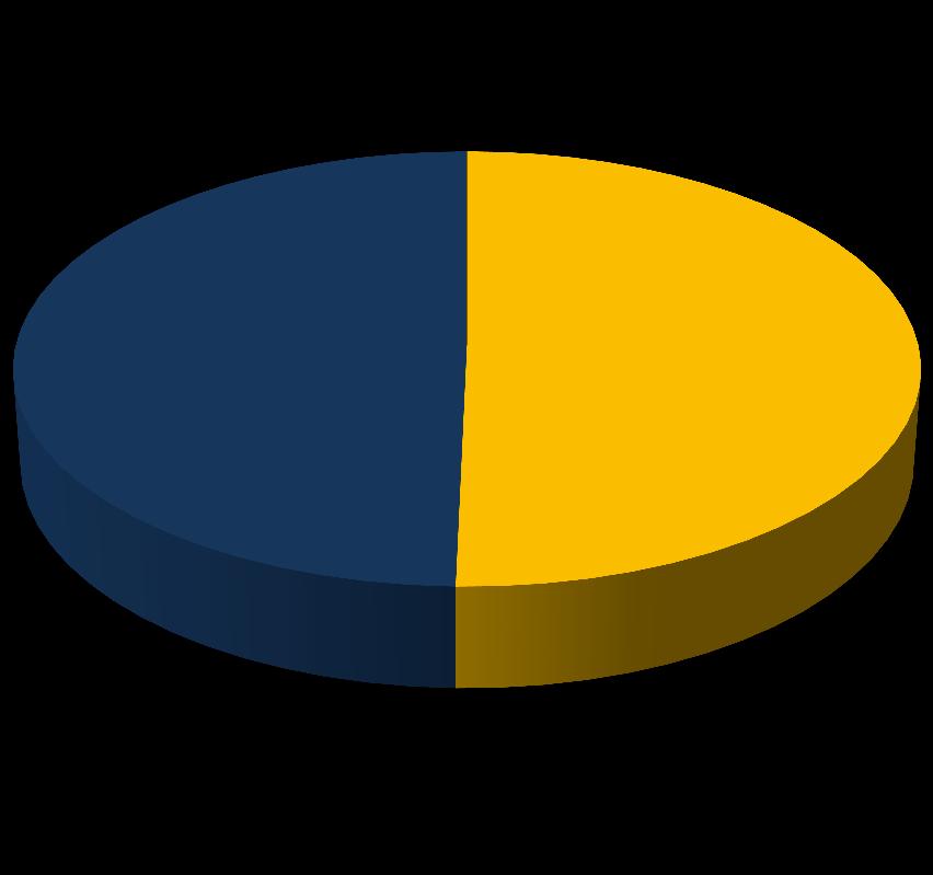 export per macroarea di destinazione (anno 2013) UE-15 50,4% UE-15 42,1% Extra UE-15 49,6% Extra UE-15