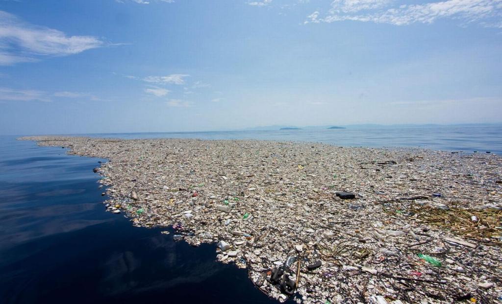Plastica e ambiente Nell Oceano Pacifico esistono