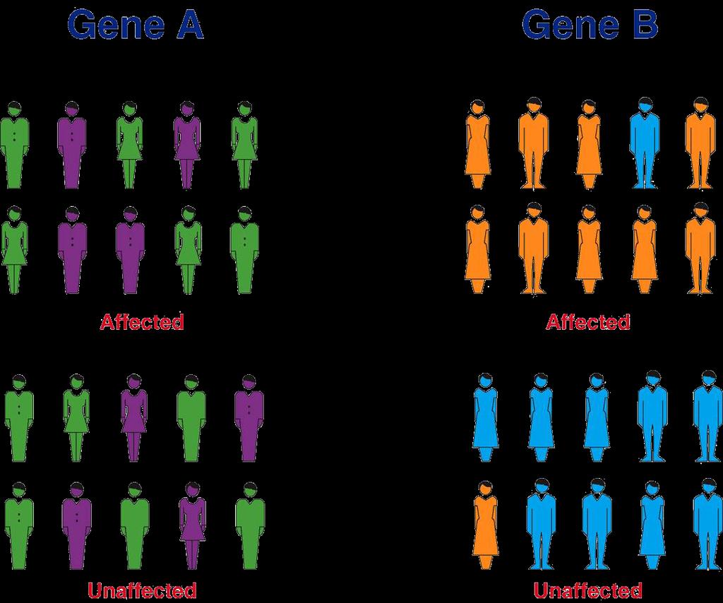 Basic Principle of Genetic