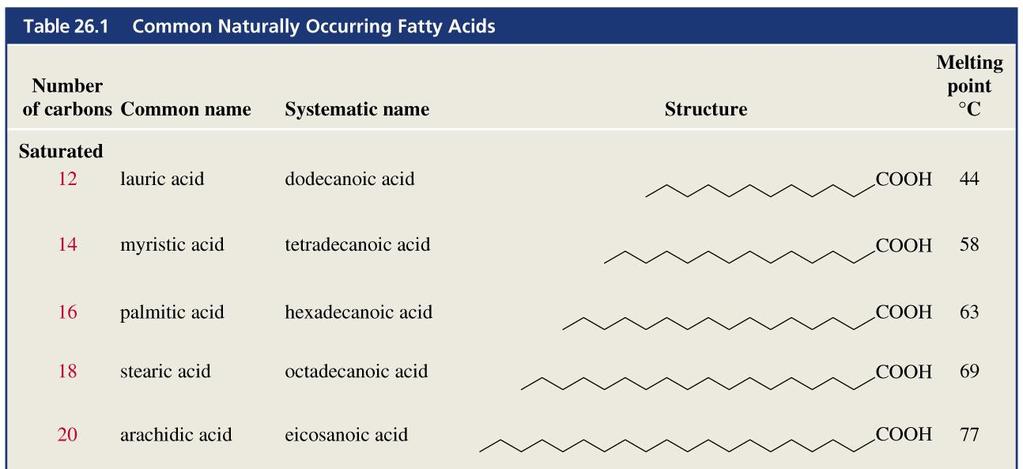 Acidi Grassi Acidi carbossilici con lunghe catene idrocarburiche: Biosintesi dall acetato (2 C) n pari di atomi di C e non ramificati Le proprietà fisiche dipendono