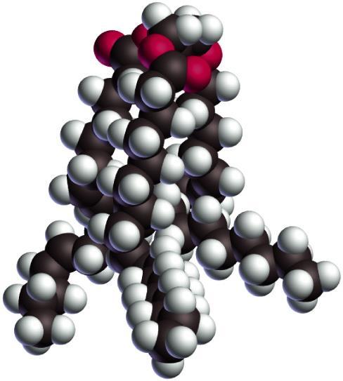 liquidi a t ambiente, comunemente di origine vegetale Triacilgliceroli costituti da acidi grassi insaturi Le