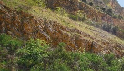 CEMENTERIA DI COLLEFERRO PERFOMANCE AMBIENTALI 2017-2018 Il cemento nasce da materie prime di origine naturale provenienti da zone estrattive situate in prossimità della cementeria.