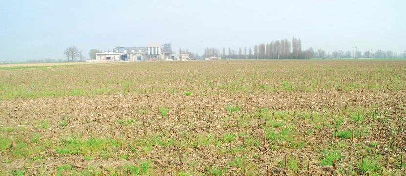 LE AZIENDE DI PROGETTO 15 ROSSI INDIRIZZO PRODUTTIVO Ordinamento colturale: cerealicolo.