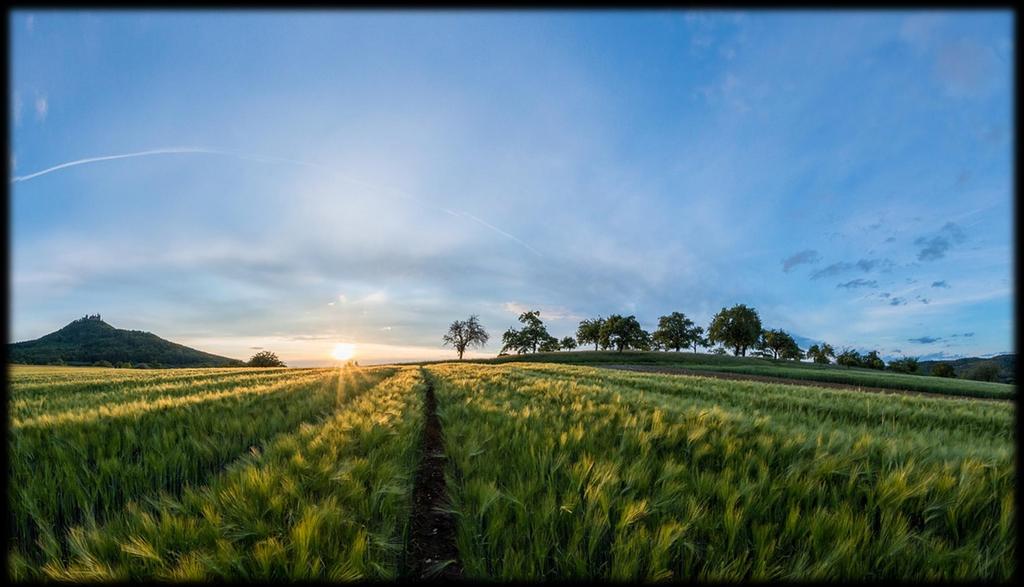 L importanza della nutrizione La nutrizione,