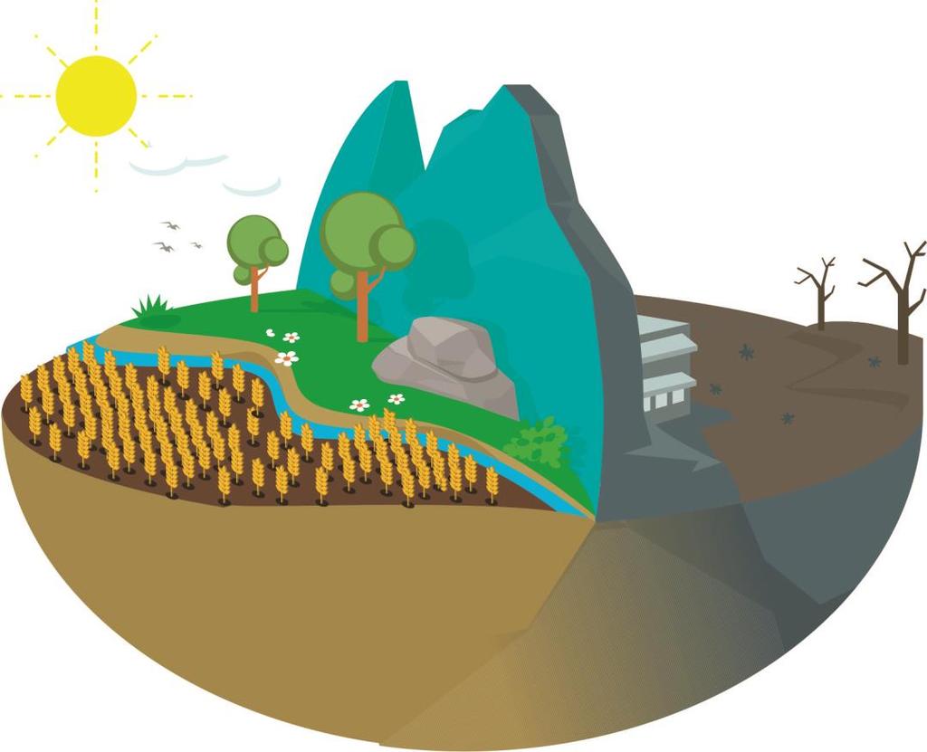 L uso dei fertilizzanti in agricoltura Sebbene il ricorso a fattori esterni, in particolare a fertilizzanti e pesticidi chimici, sia stato importante per lo sviluppo del settore agricolo in tutto il