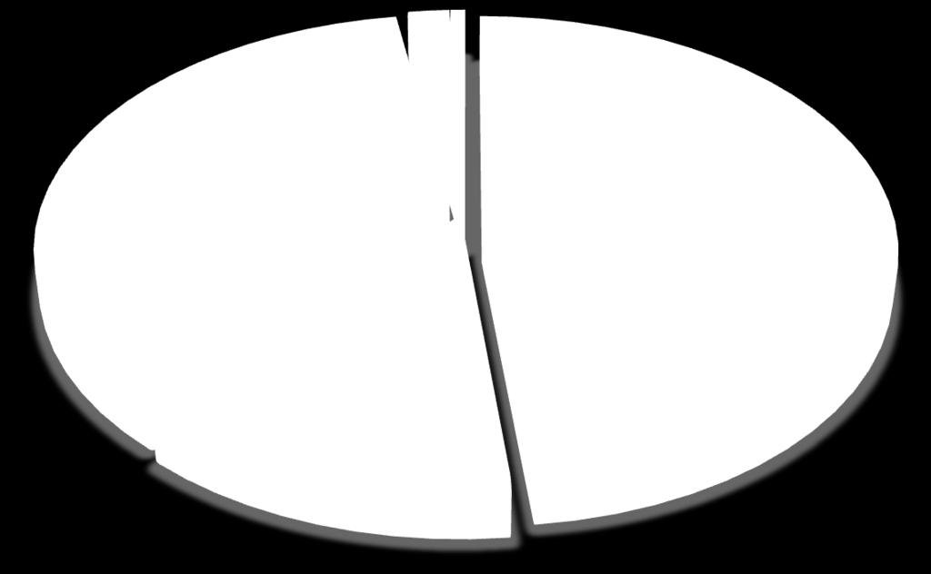 000) 0,7% DALLE CAMPANE, DAI CASSONETTI PER STRADA DOVE LE FAMIGLIE PORTANO I RIFIUTI DIFFERENZIATI PER MATERIALI (19.300.