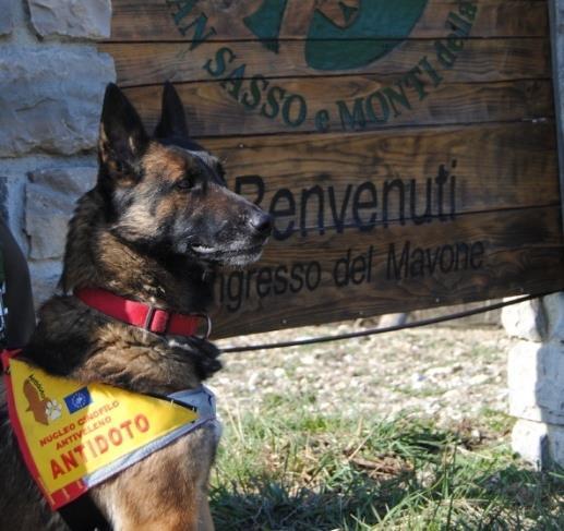 operative nel Parco Gran Sasso-Laga e poi in altre