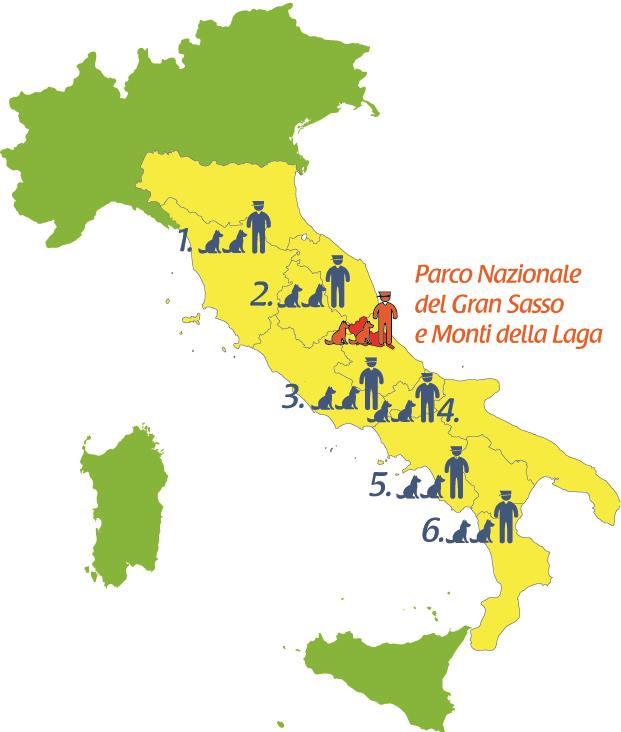 Le UCA di PLUTO Il progetto ha permesso di attivare 6 UCA che operano in 11 regioni italiane.