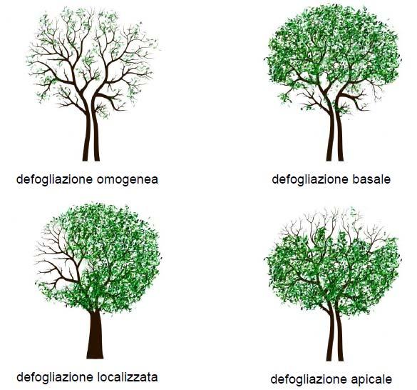 Patologie e danni Localizzazione della