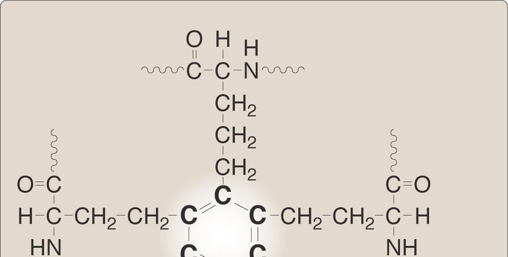 Composizione L'elastina è principalmente composta dagli amminoacidi glicina, valina, alanina prolina e lisina.