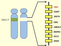 NIPT per altre anomalie cromosomiche Dati adattati da Wellesley et al., 2012 Anomalie cromosomi sessuali (XXY, XO) Altre trisomie (es.