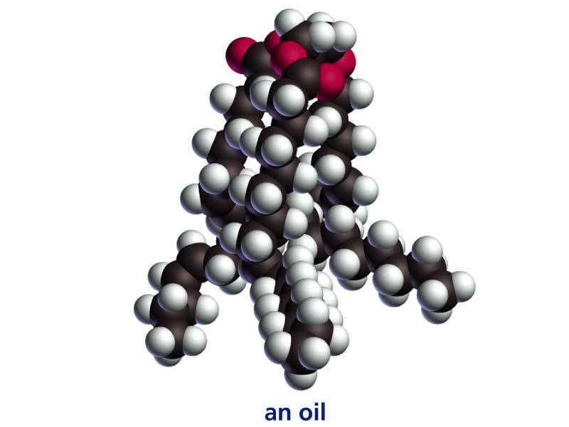 LI: triacilgliceroli liquidi Derivano da frutti di piante Triacilgliceroli costituti di acidi