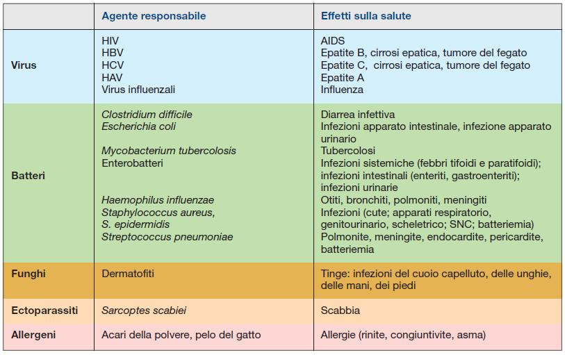 Riferimento - Il rischio biologico nei