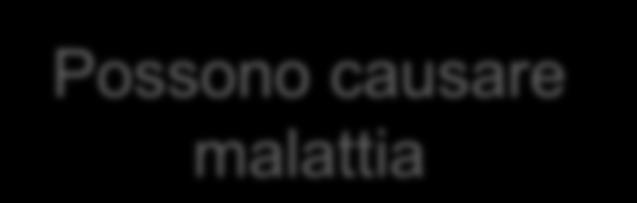 Classificazione Agente biologico del gruppo 2: un agente che può causare malattie in soggetti umani e costituire un rischio per i lavoratori; è