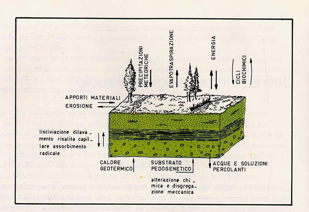 Il suolo come