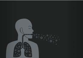gen si propone di fornire una visione a tutto tondo sul tema dell ossigeno e della respirazione, sviluppando due filoni principali di approfondimento: quello anatomico/fisiologico, che si concentra