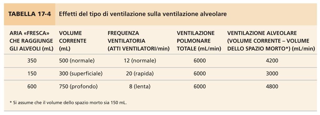 respiratoria X volume corrente 12 500 ml 6 L/min 4,2L/min Ciclo