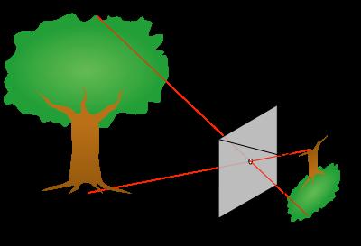 La camera oscura è un dispositivo ottico composto da una scatola oscurata con un foro sul fronte e un piano di proiezione dell'immagine sul retro. La camera oscura è alla base della fotografia.