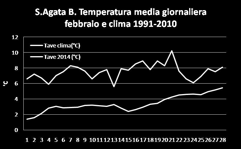 Fase fenologica del frumento in forte anticipo, stimati circa tre/quattro settimane rispetto alla media degli ultimi anni 10 anni.