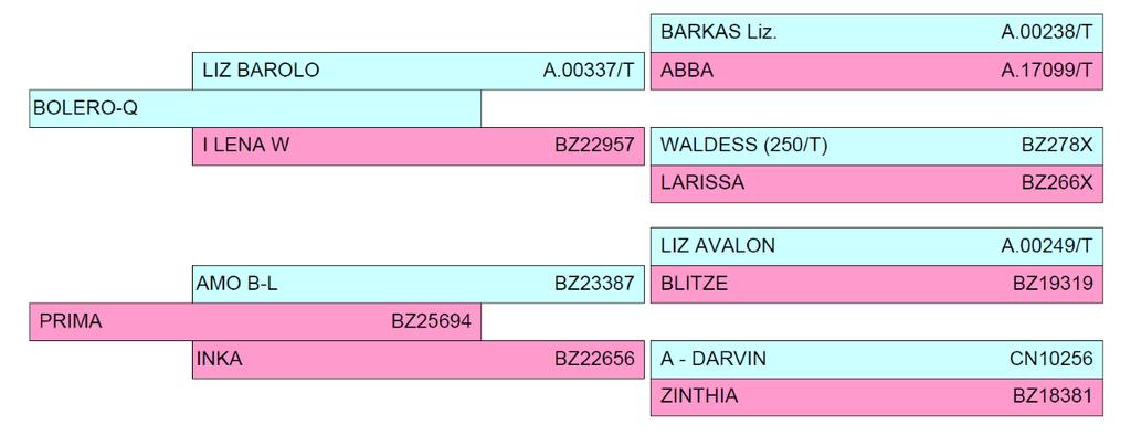 voto è riferito ad arti e appiombi. I voti parziali sono: O= Ottimo, MB=Molto buono, B= Buono, D= Discreto, S=Sufficiente.