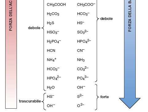Forza relativa di acidi e basi: direzione netta di reazione verso acido più debole e base più debole HF +