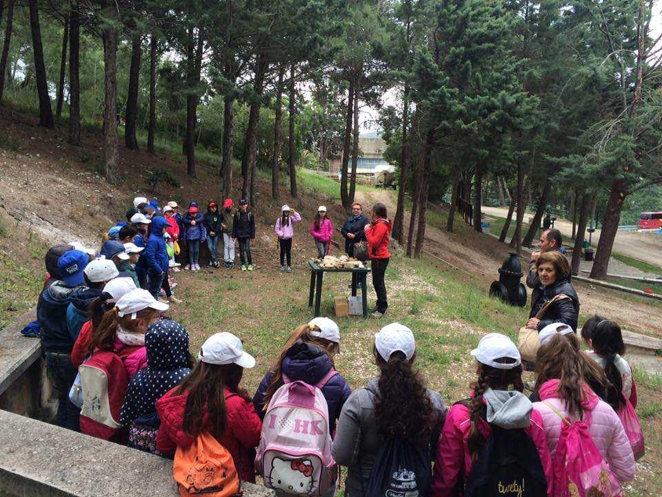 PROGRAMMA Visite guidate per le scuole della provincia di Foggia secondo 4 itinerari tematici: 1.