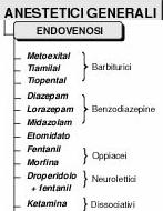 CARATTERISTICHE DOSE-RISPOSTA: per motivi etici non è possibile determinare i punti bassi e quelli alti della curva dose-risposta.