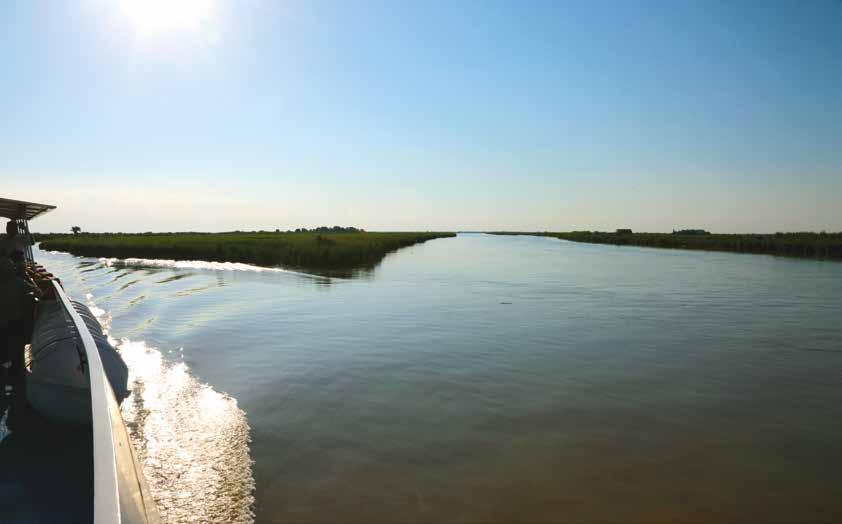 IN MOTONAVE ALLA FOCE DEL PO Da Gorino lungo i rami meridionali del delta sino all Isola dell Amore, costeggiando la Riserva Statale della Sacca di Goro, l Isola dei Gabbiani e del