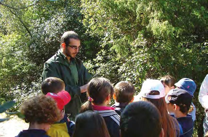 TREKKING ALLA RISERVA NATURALE BOSCO DELLA MESOLA Passeggiata lungo gli ombrosi