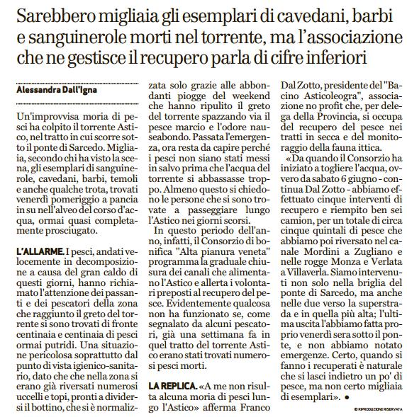 stampa ad uso